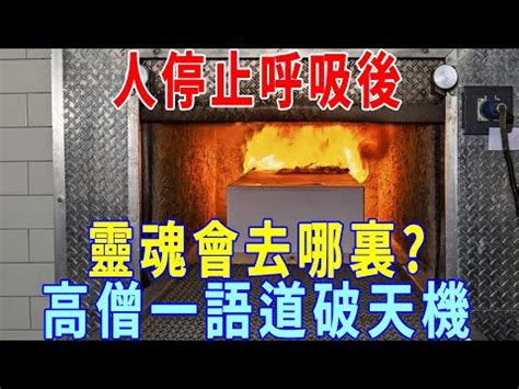 火化過程是否靈魂已跑走|2024 火化過程全攻略：親人的最後旅程如何安排？